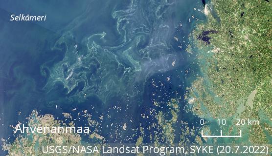 Eteläisen Selkämeren sinilevälautat näkyivät satelliittikuvissa keskiviikkona 20.7.2022.
